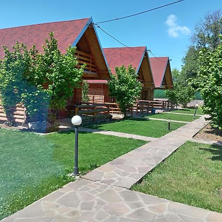 Vila Viktori Pirot Exteriör bild