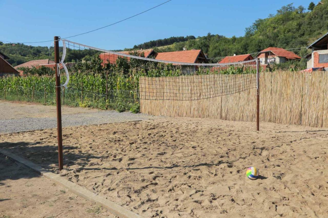 Vila Viktori Pirot Exteriör bild