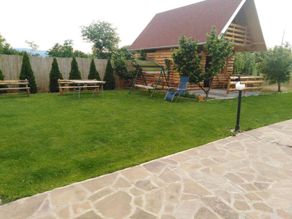Vila Viktori Pirot Exteriör bild
