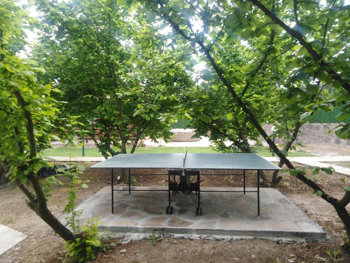Vila Viktori Pirot Exteriör bild