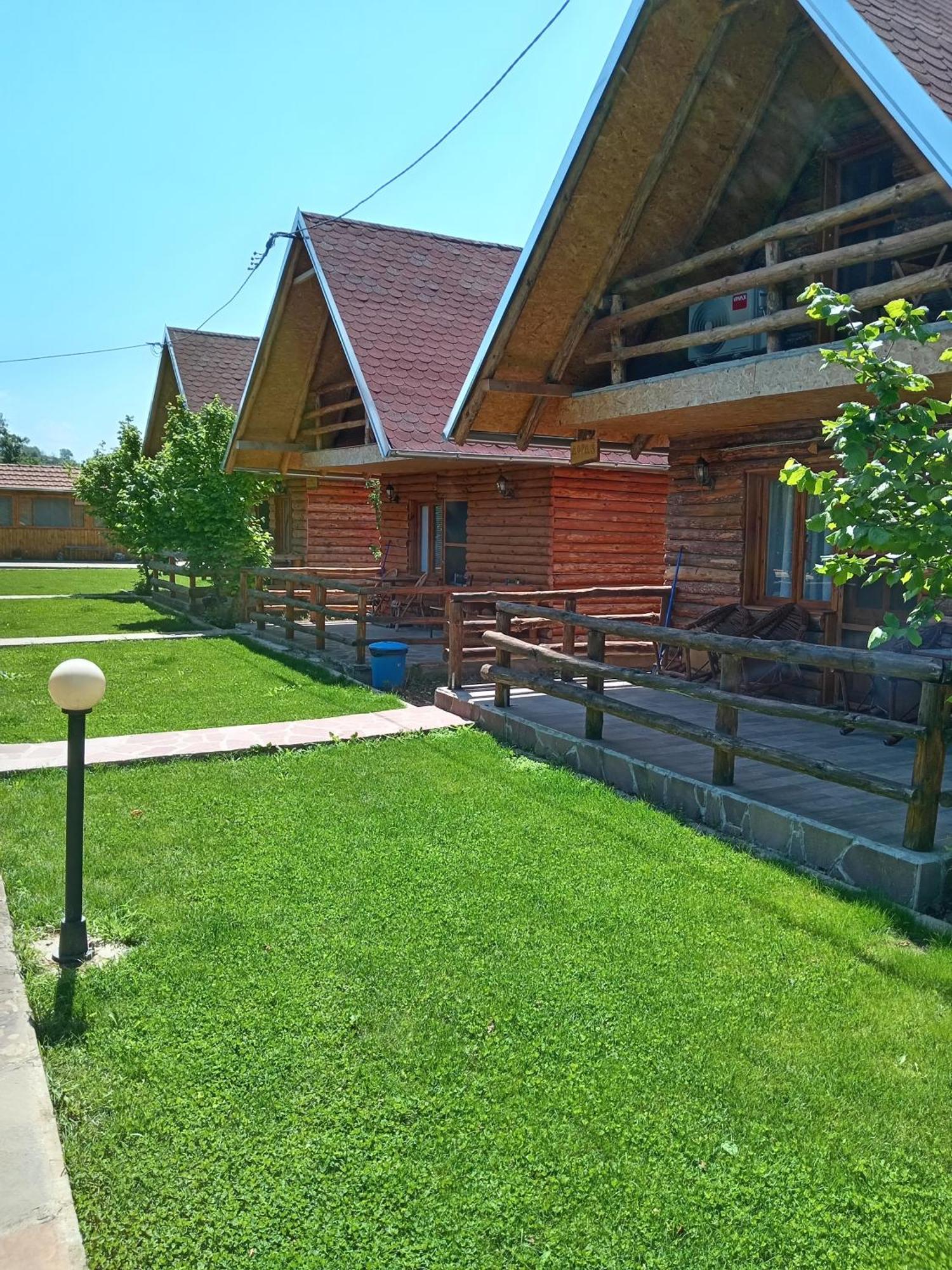 Vila Viktori Pirot Exteriör bild