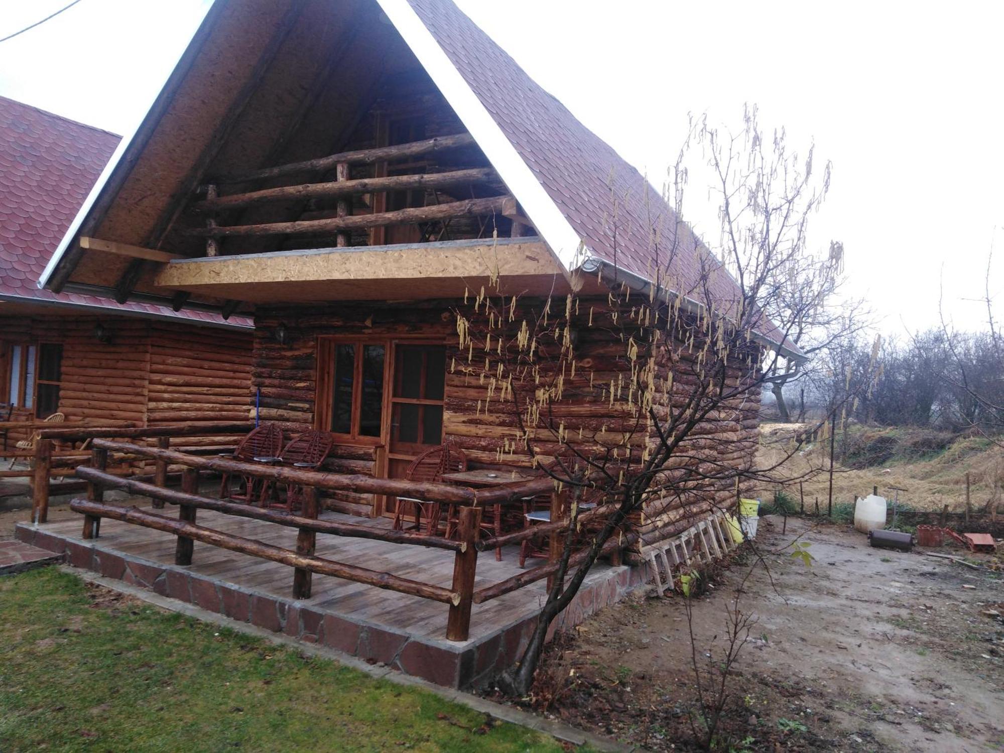 Vila Viktori Pirot Rum bild