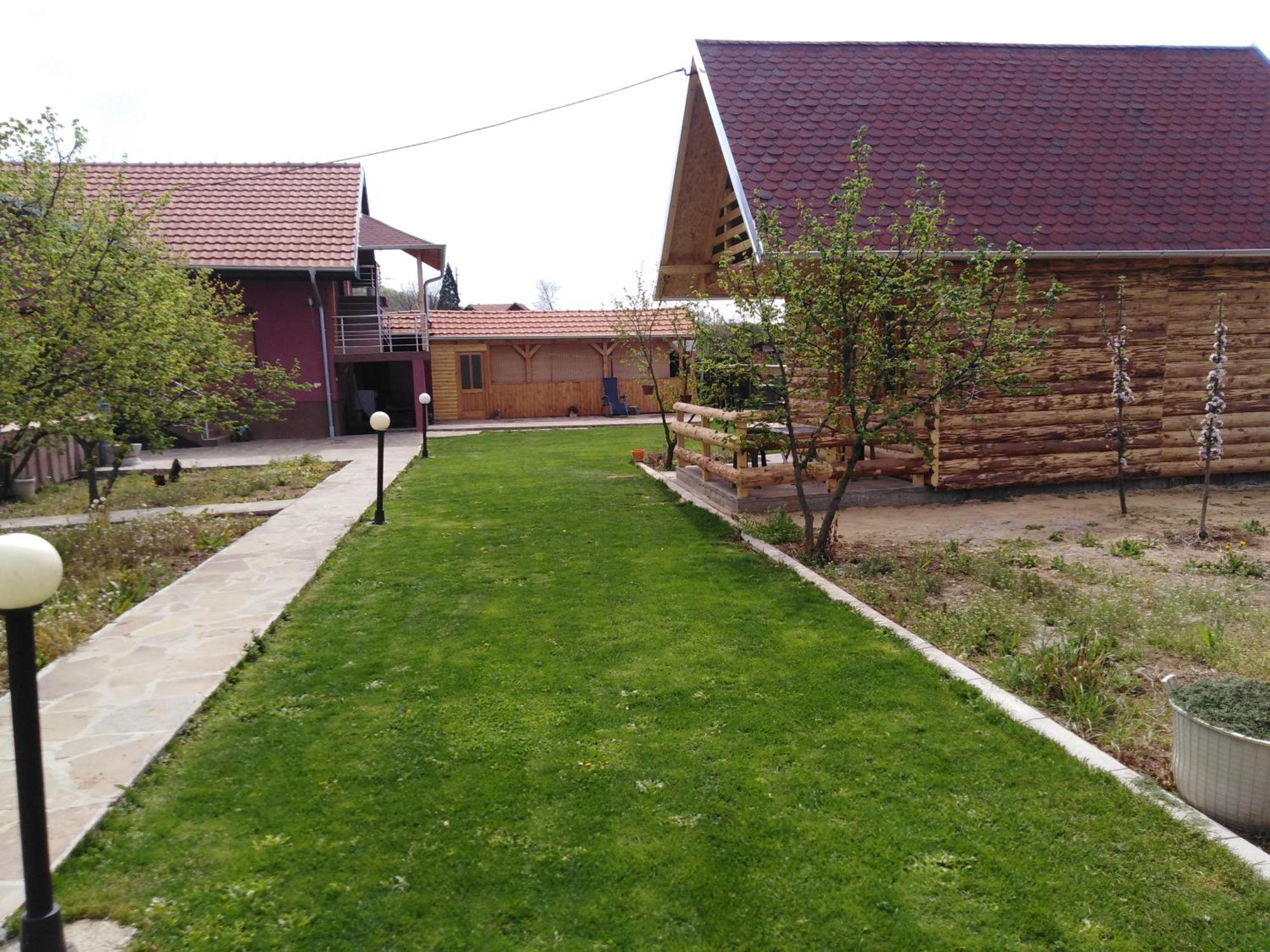 Vila Viktori Pirot Rum bild